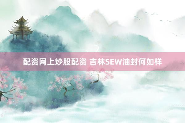 配资网上炒股配资 吉林SEW油封何如样