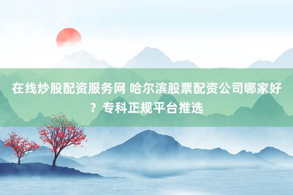 在线炒股配资服务网 哈尔滨股票配资公司哪家好？专科正规平台推选